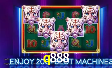 q888: A Experiência de Casino com Jogos de Mesa ao Vivo
